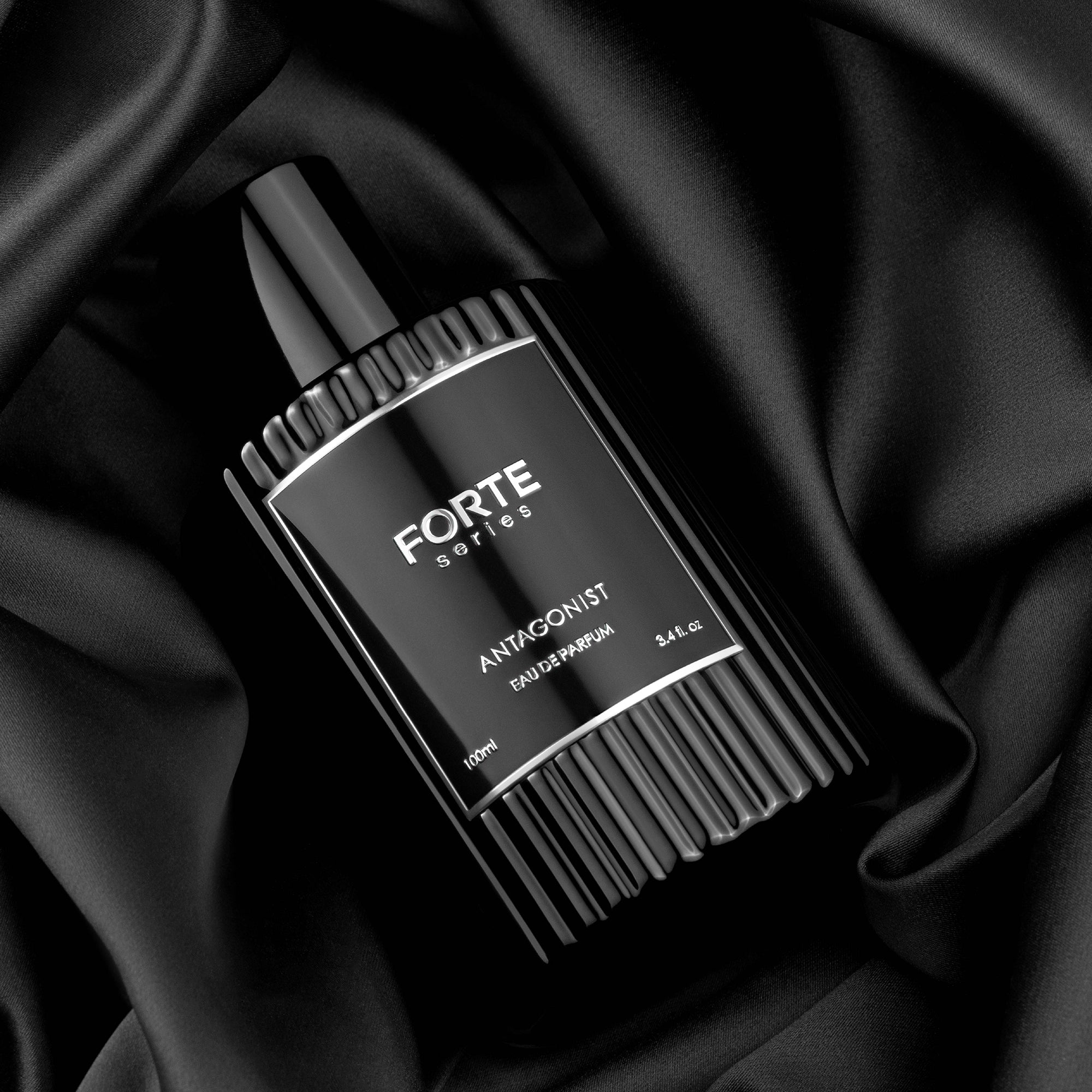 A single green leaf against a white background.