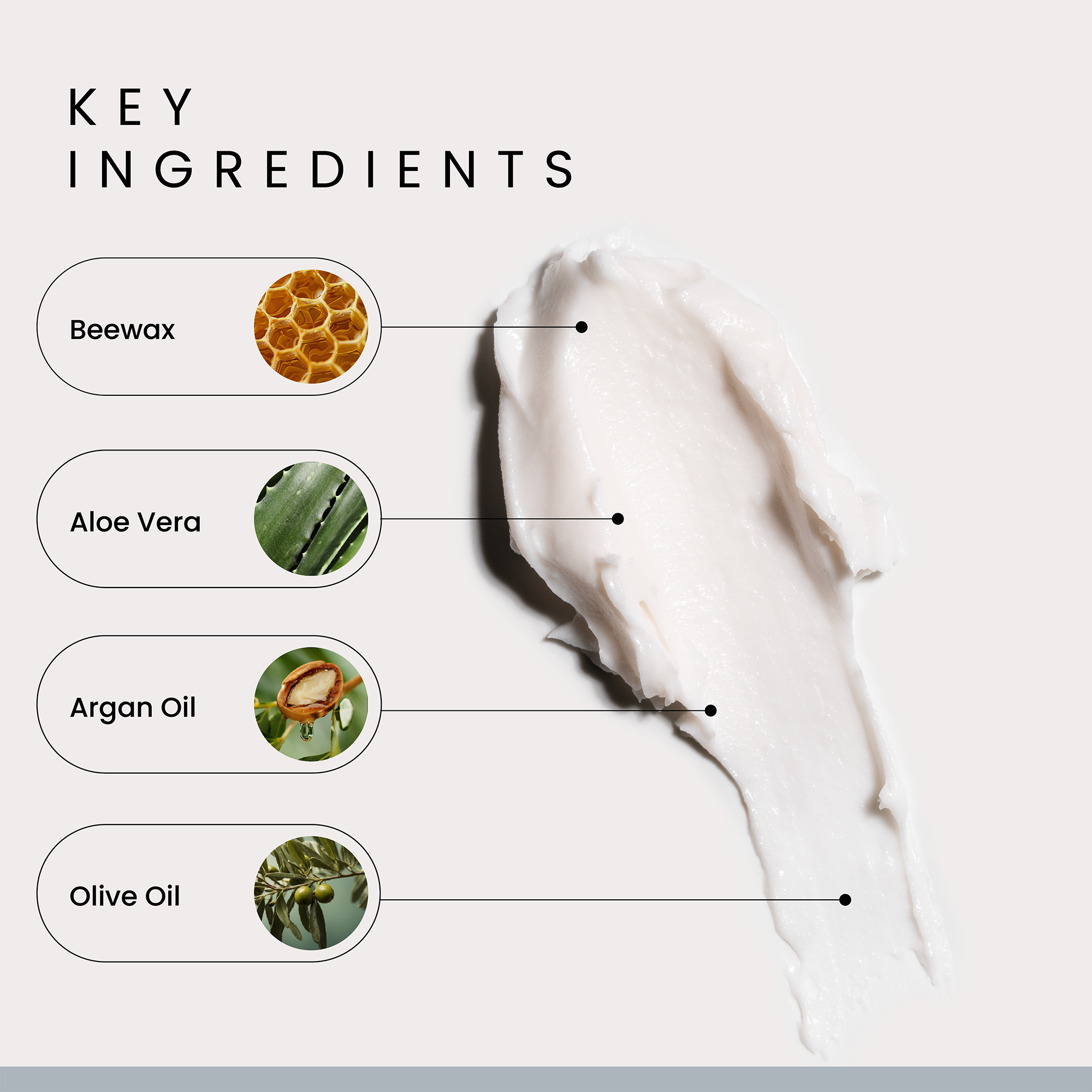 A single green leaf against a white background.