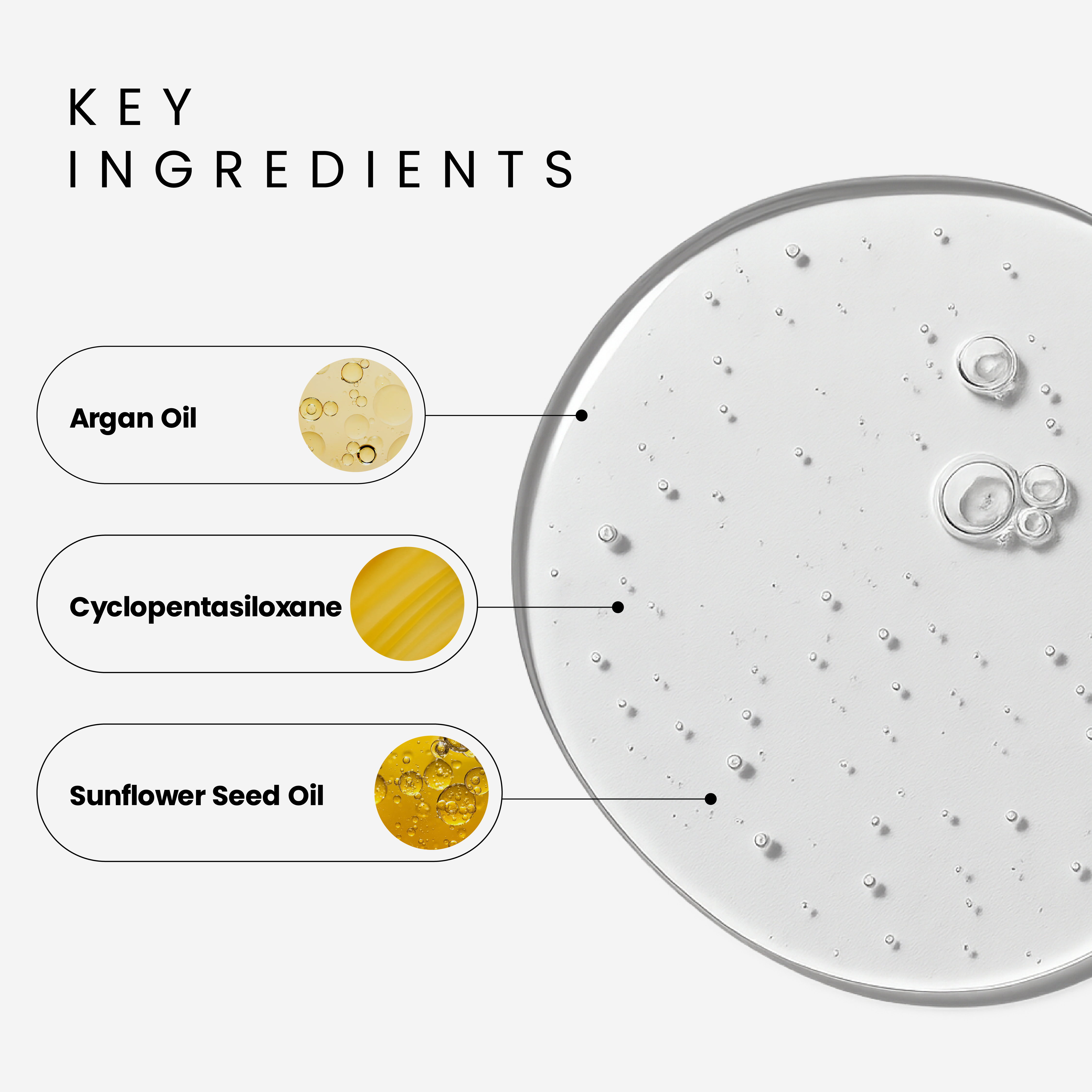 A single green leaf against a white background.