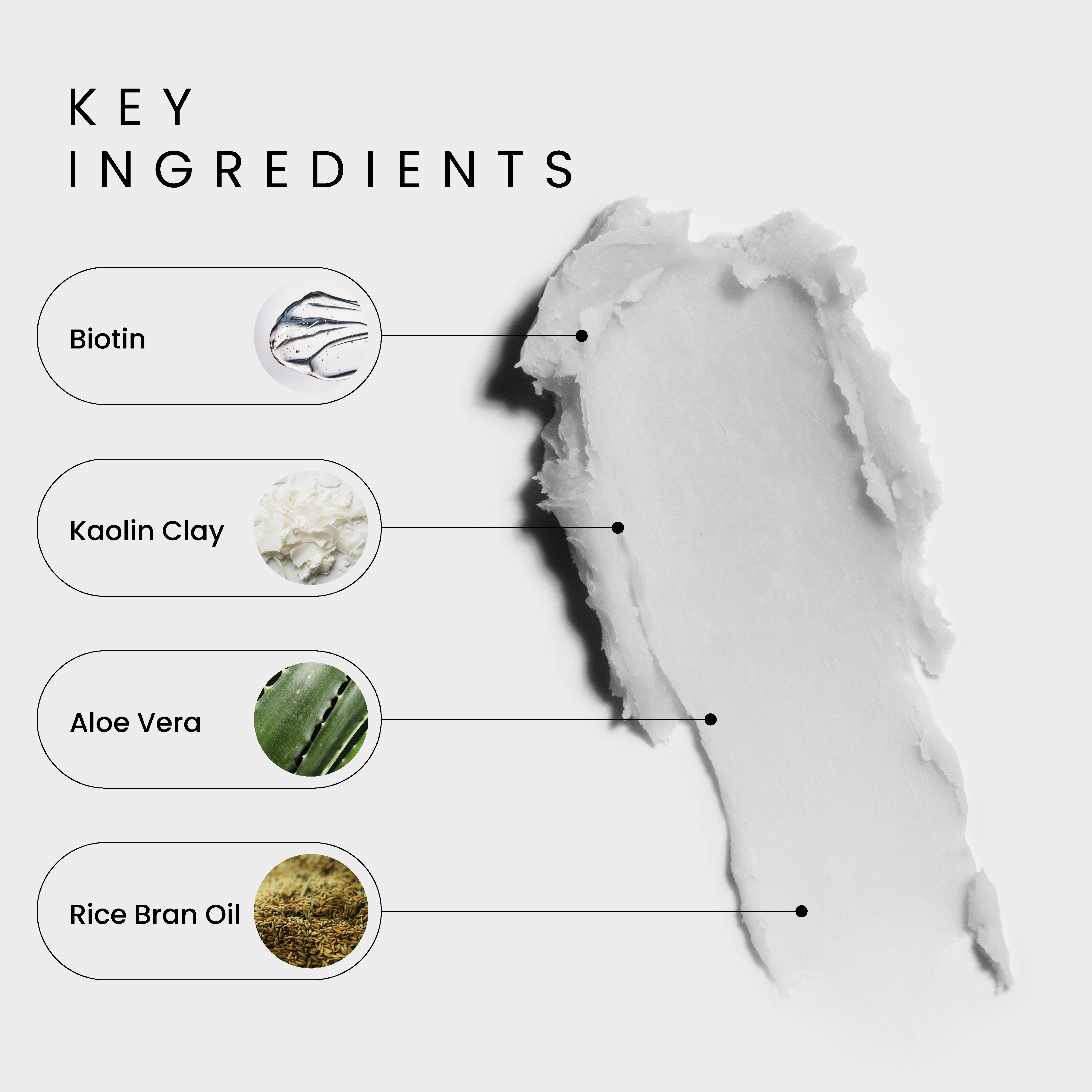 A single green leaf against a white background.