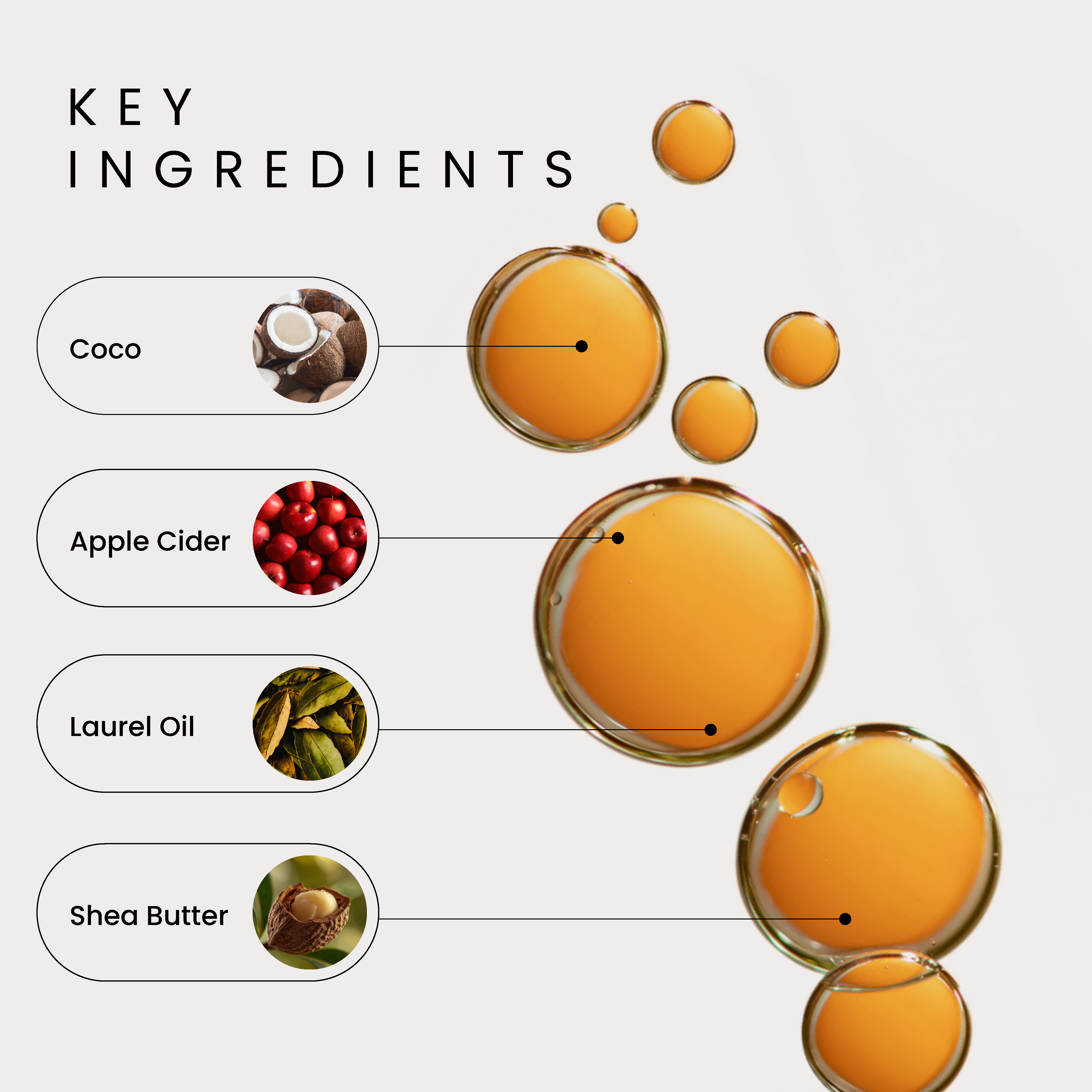 A single green leaf against a white background.