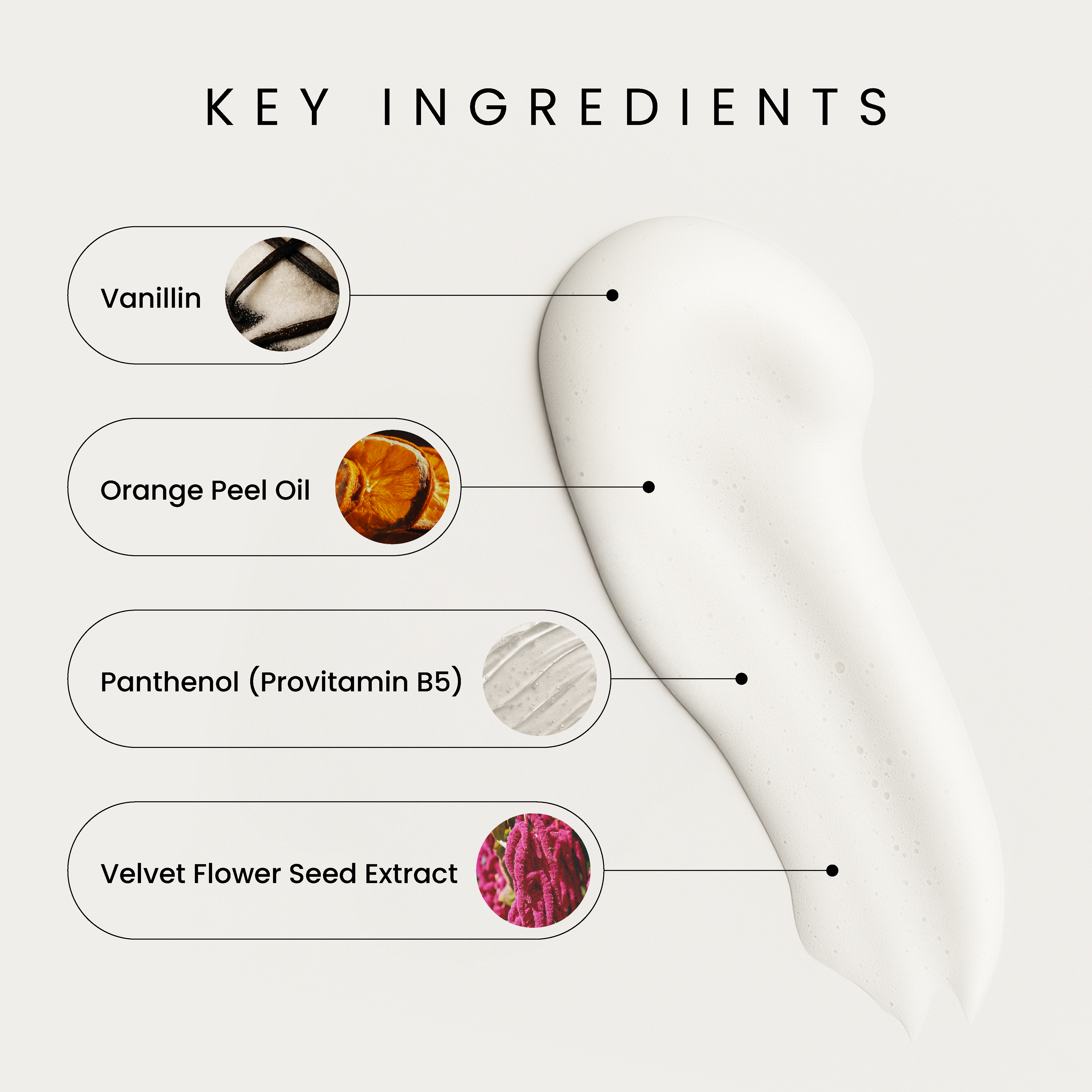 A single green leaf against a white background.