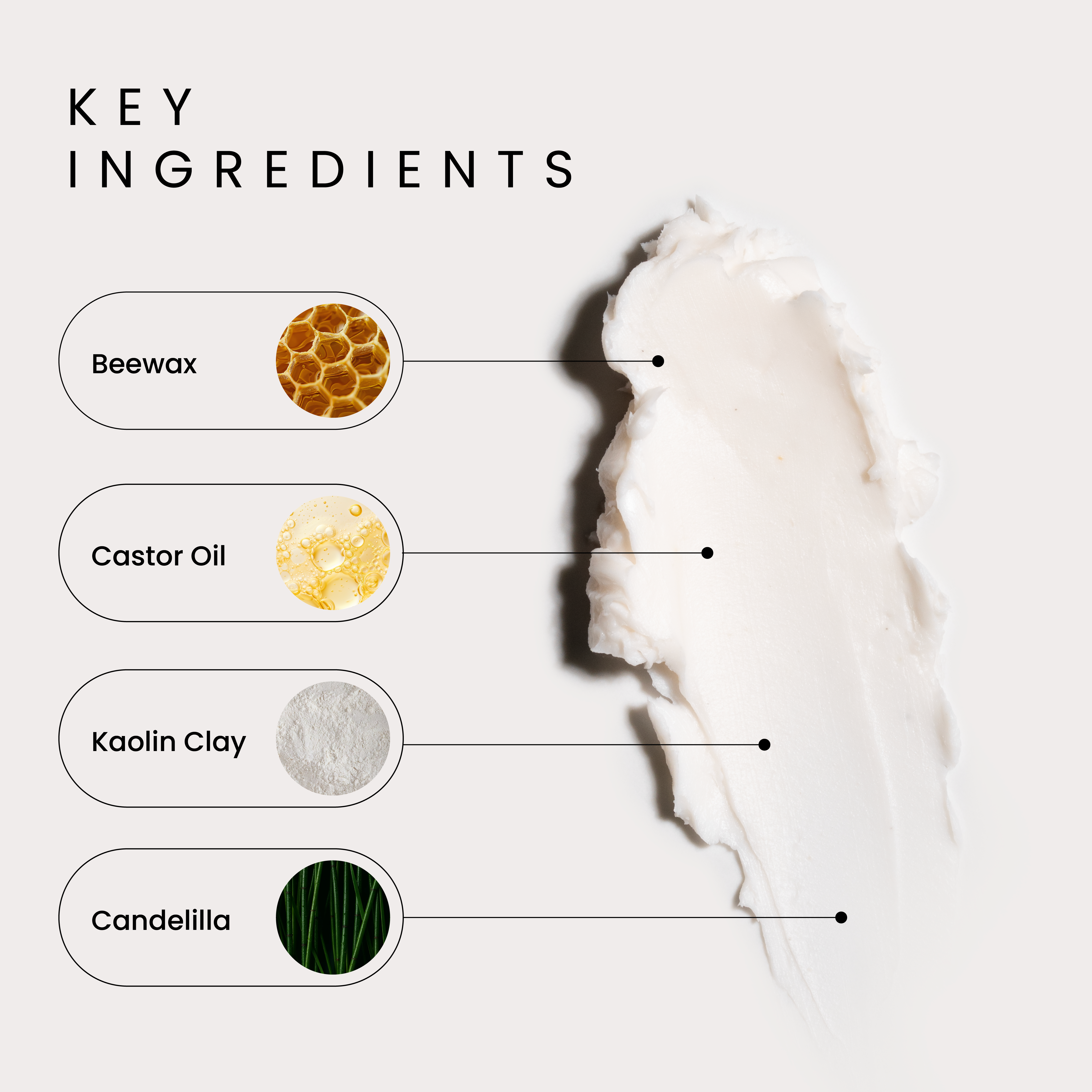 A single green leaf against a white background.