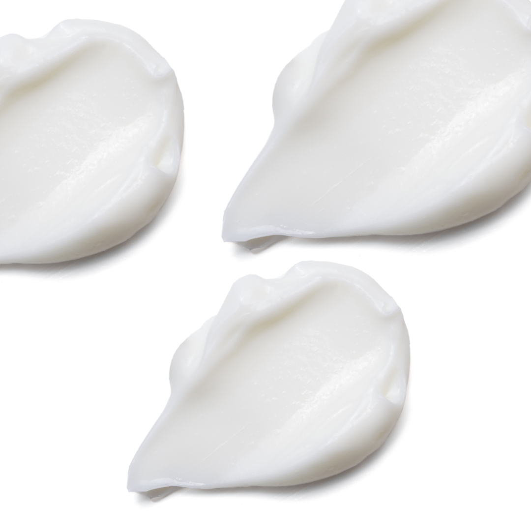 A single green leaf against a white background.