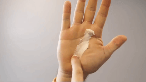 A single green leaf against a white background.