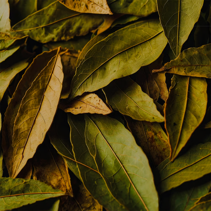 Laurel Oil