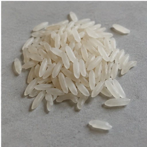 Rice Protein