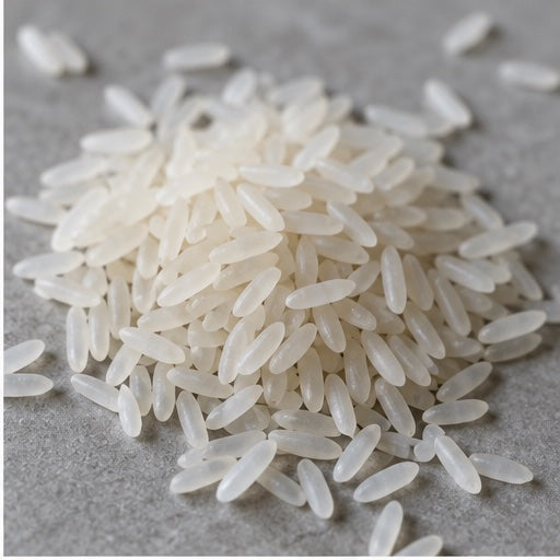 Rice Protein