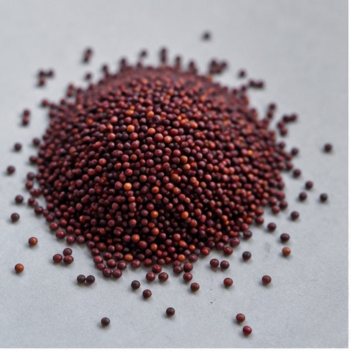 Velvet Flower Seed Extract