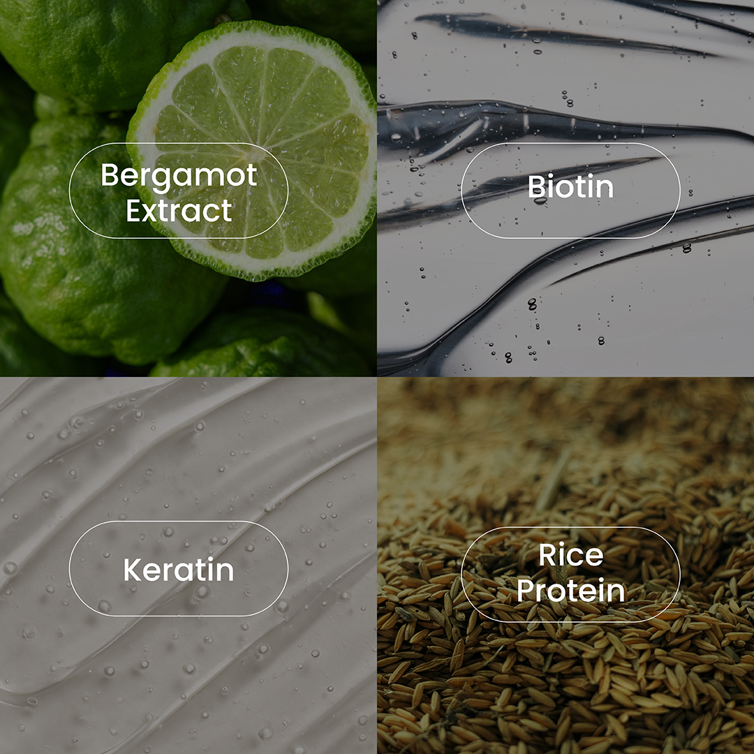 A single green leaf against a white background.